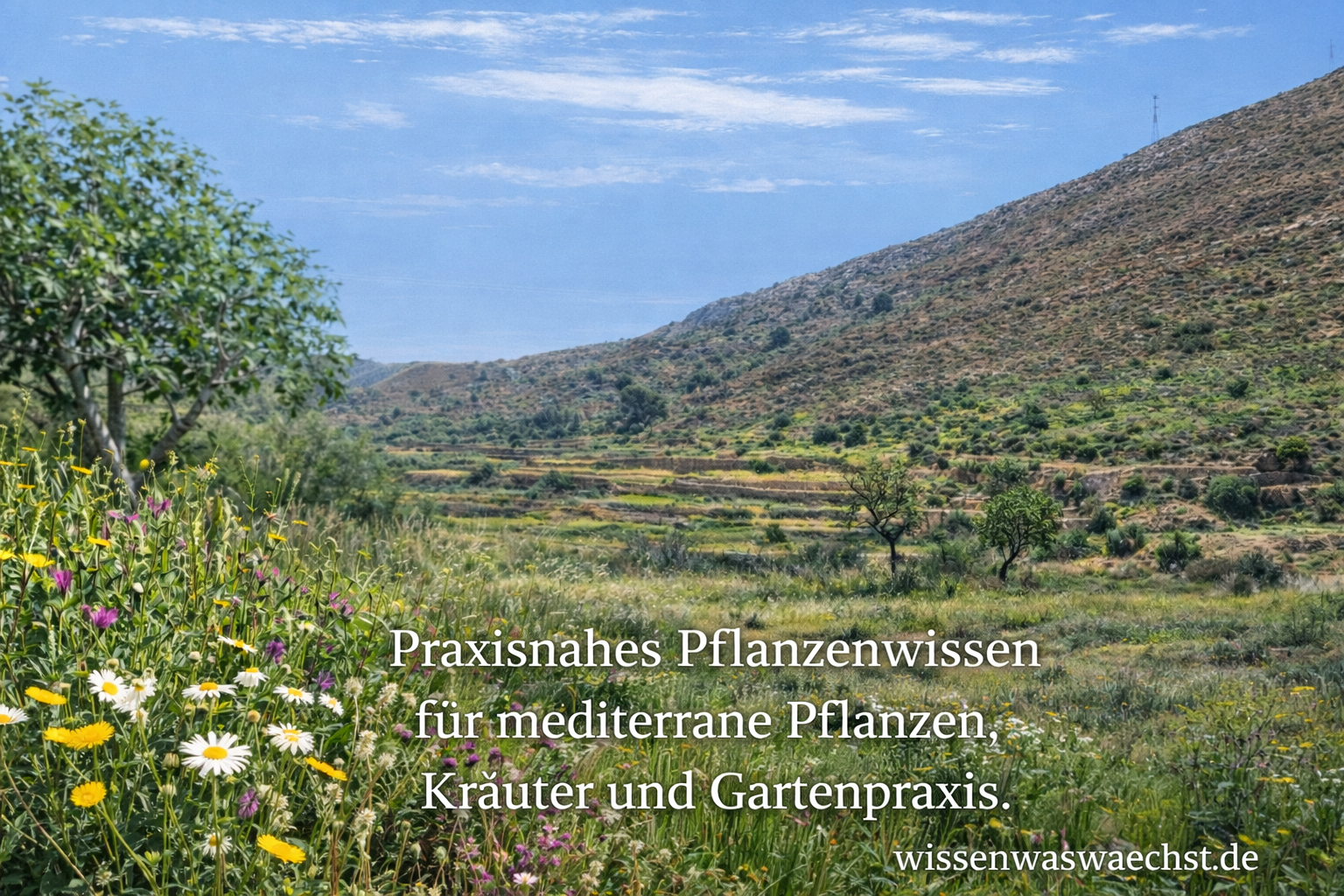 Wissen was wächst – mediterrane Landschaft mit Wildblumen, Kräutern und Gartenpraxis